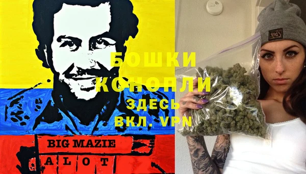 mdma Каменка