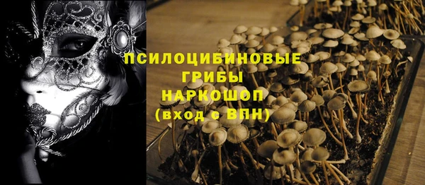 mdma Каменка