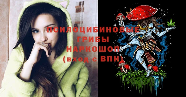 mdma Каменка