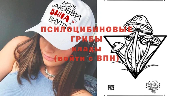 MDMA Каменногорск