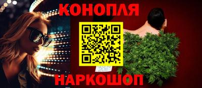 прущие грибы Кингисепп