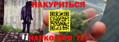 прущие грибы Кингисепп