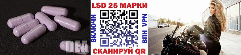 наркошоп Краснодар маркетплейс состав Лсд 25 экстази кислота