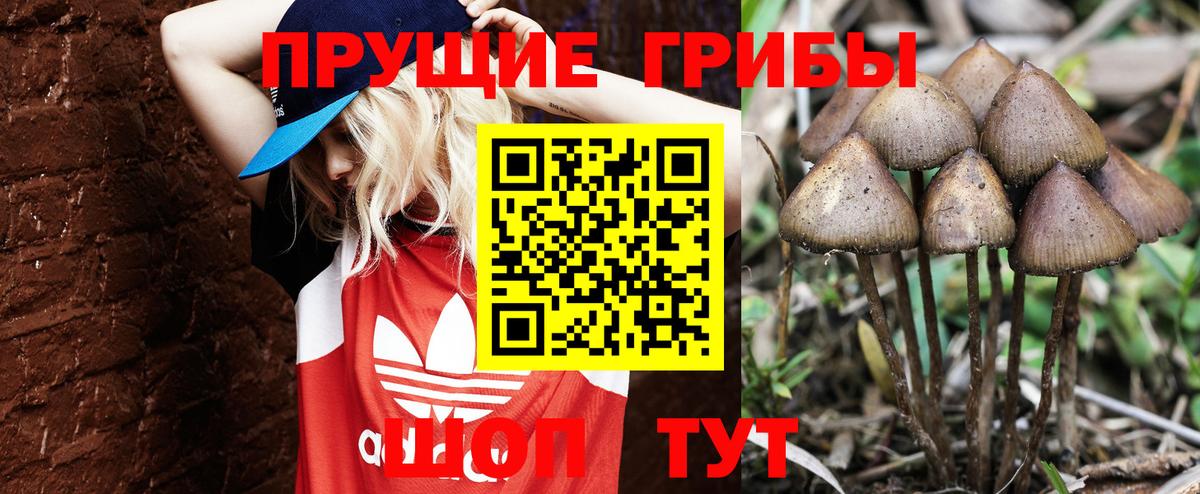 Амфетамин Краснодар