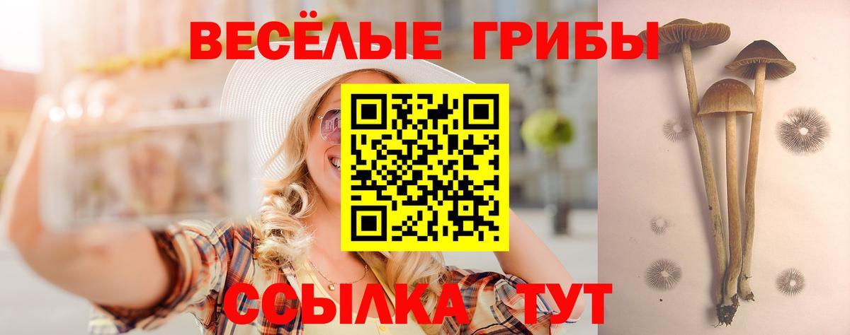 Галлюциногенные грибы мицелий Краснодар