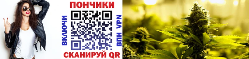 Шишки марихуана ГИДРОПОН  закладки  Краснодар 